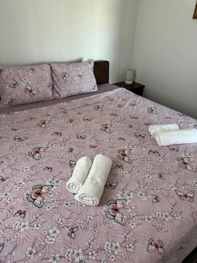 Apartments Airport Golubovci Podgorica Ngoại thất bức ảnh